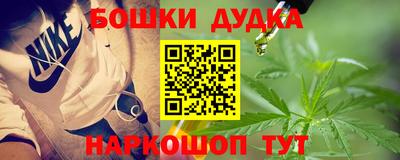 гашик Вышний Волочёк