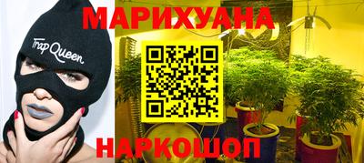 гашик Вышний Волочёк