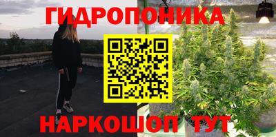 МДПВ Вязники