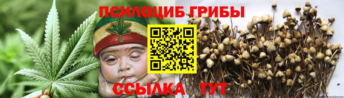 Галлюциногенные грибы ЛСД Абинск