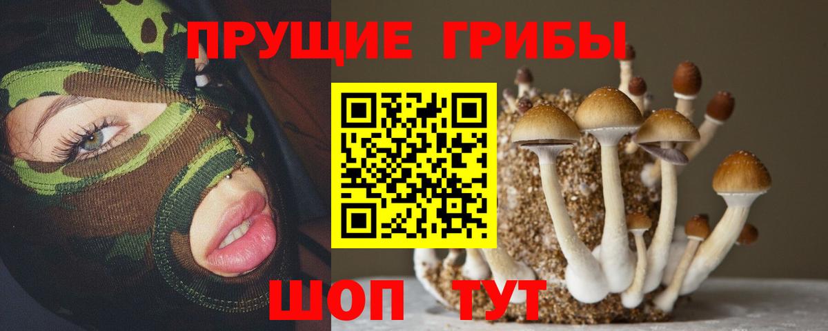 Галлюциногенные грибы ЛСД  Галлюциногенные грибы мухоморы  Абинск  Вход с VPN 
